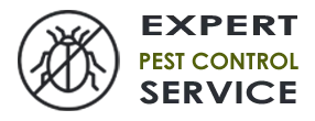Expert Exterminator Co  Homestead FL